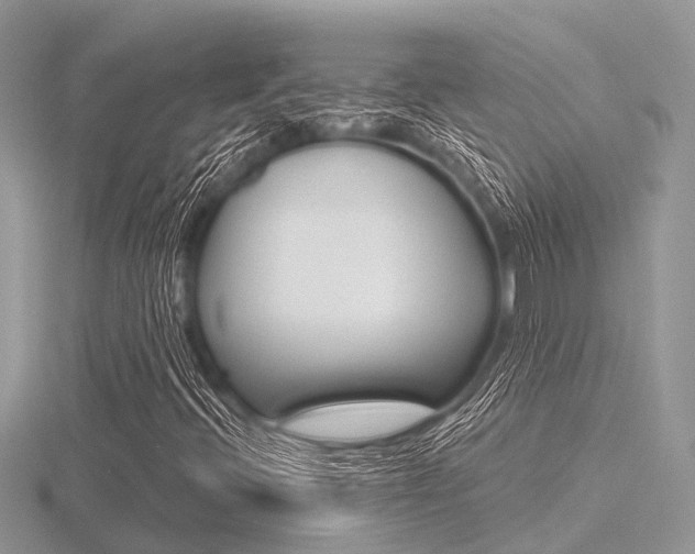 X0000116611396200912110951