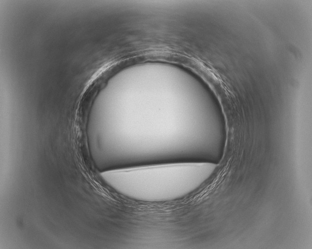 X0000116611400200912110951