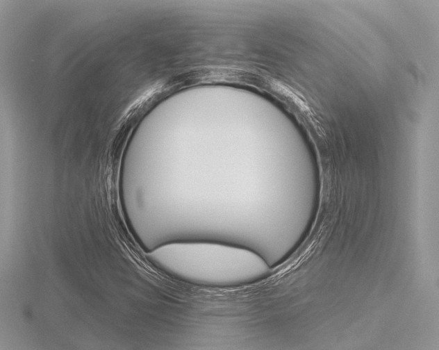 X0000116611403200912110951
