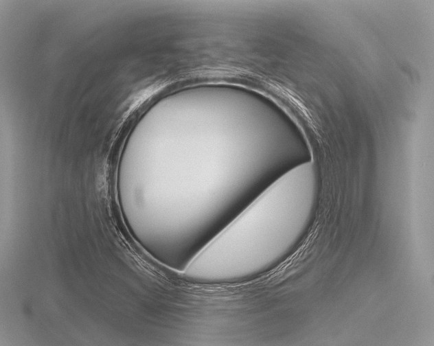 X0000116611404200912110951