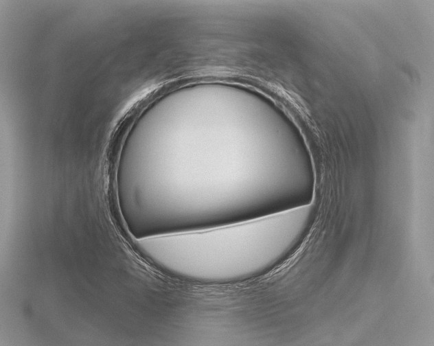 X0000116611406200912110951