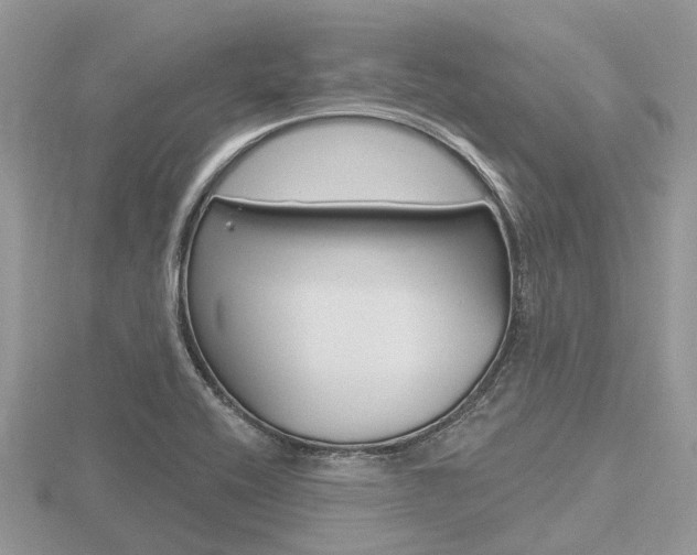 X0000116611416200912110951