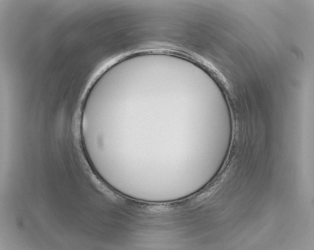 X0000116611421200912110951