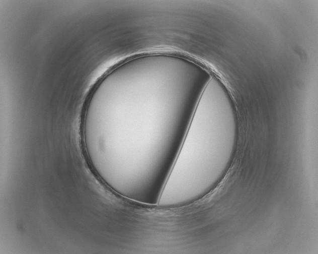 X0000116611422200912110951