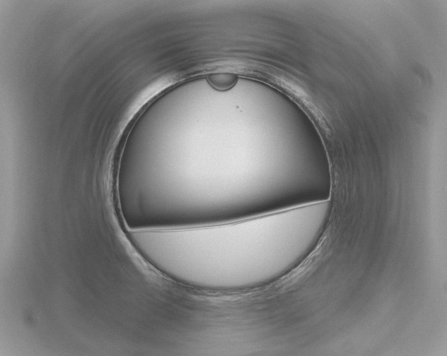 X0000116611426200912110951