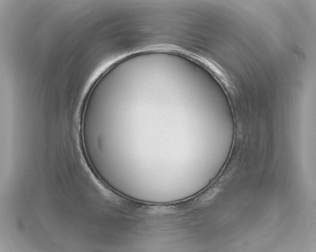 X0000116611430200912110951