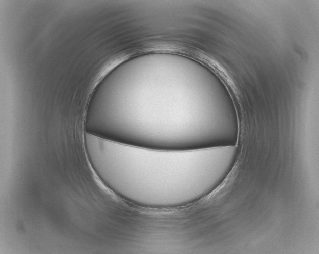 X0000116611433200912110951