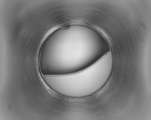 X0000116611434200912110951