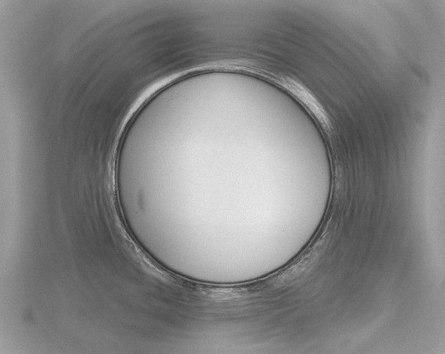 X0000116611436200912110951