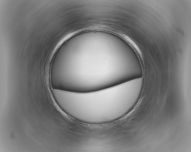 X0000116611437200912110951