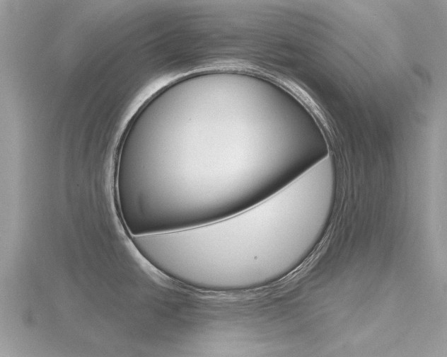 X0000116611438200912110951