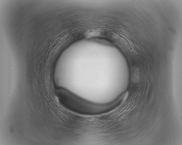 X0000116611441200912110951