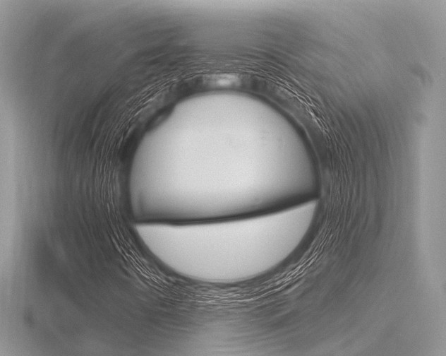 X0000116611442200912110951
