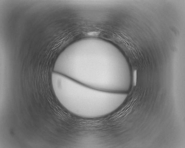X0000116611443200912110951