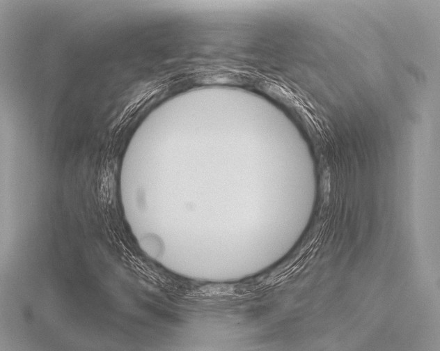 X0000116611446200912110951