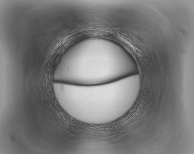X0000116611447200912110951
