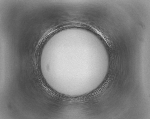 X0000116611448200912110951
