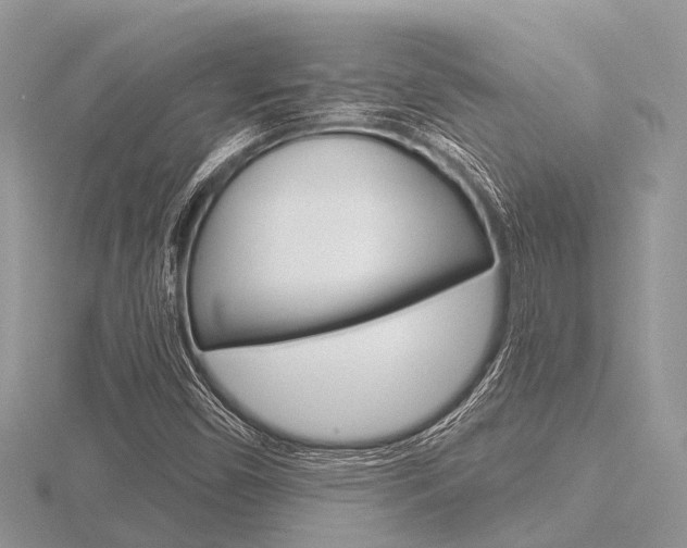 X0000116611450200912110951