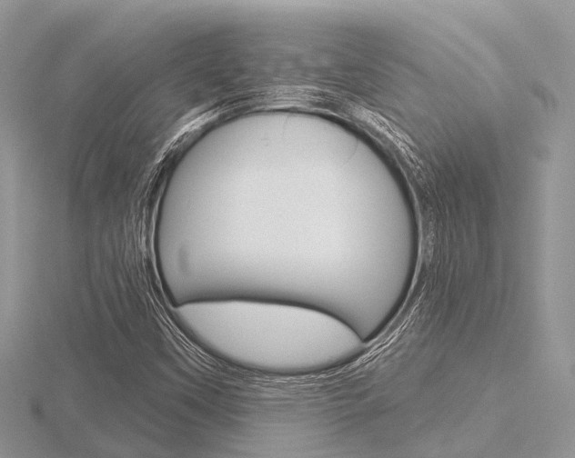 X0000116611451200912110951
