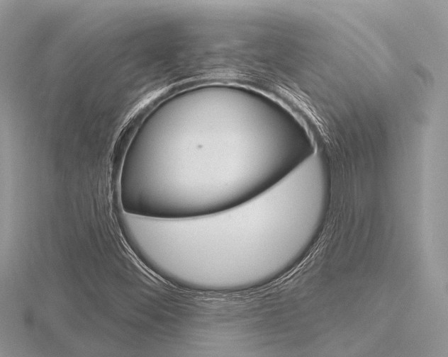 X0000116611452200912110950