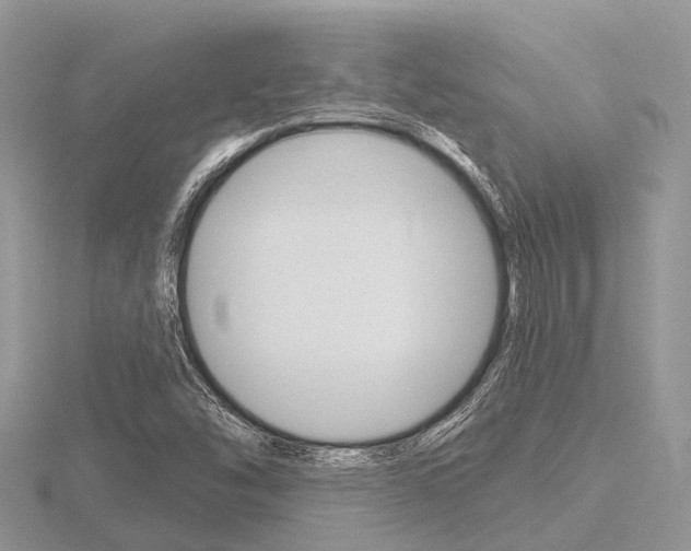 X0000116611454200912110950