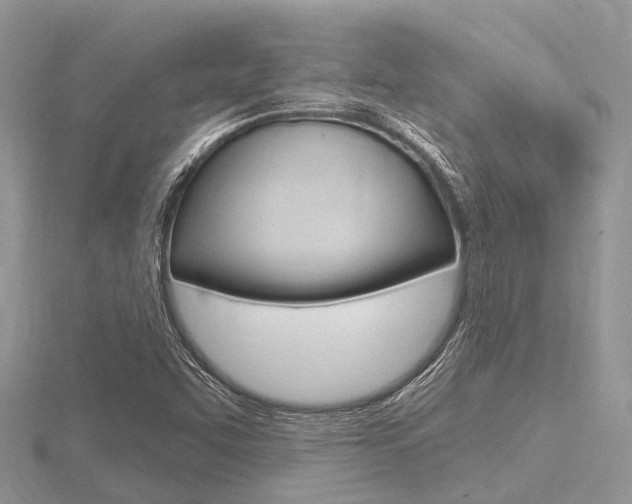 X0000116611455200912110950