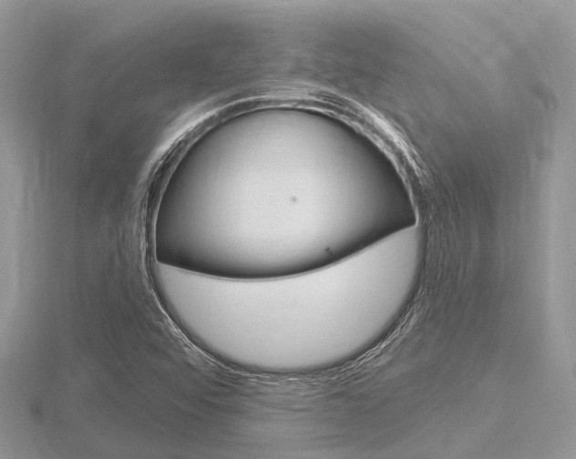 X0000116611456200912110950