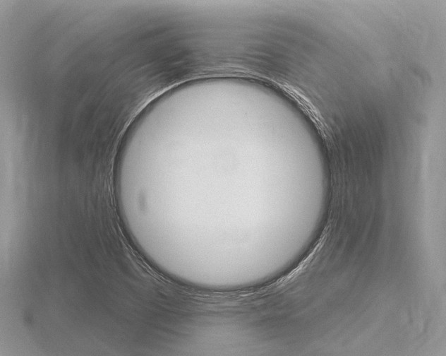X0000116611457200912110950