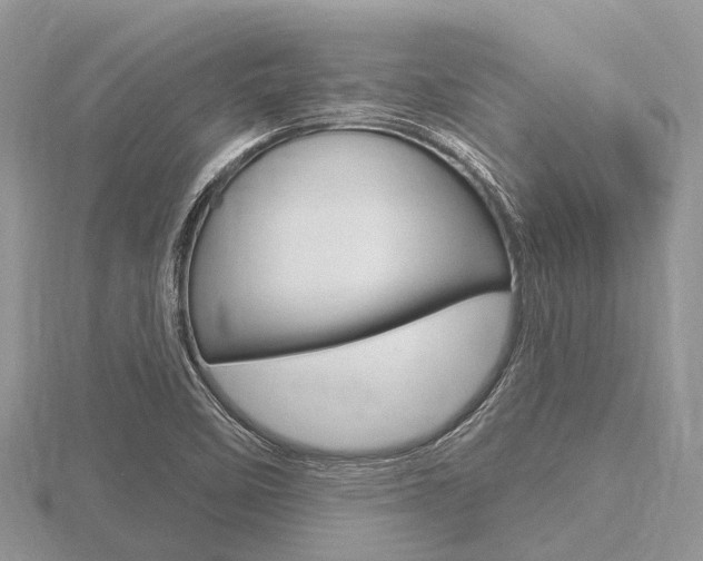 X0000116611458200912110950
