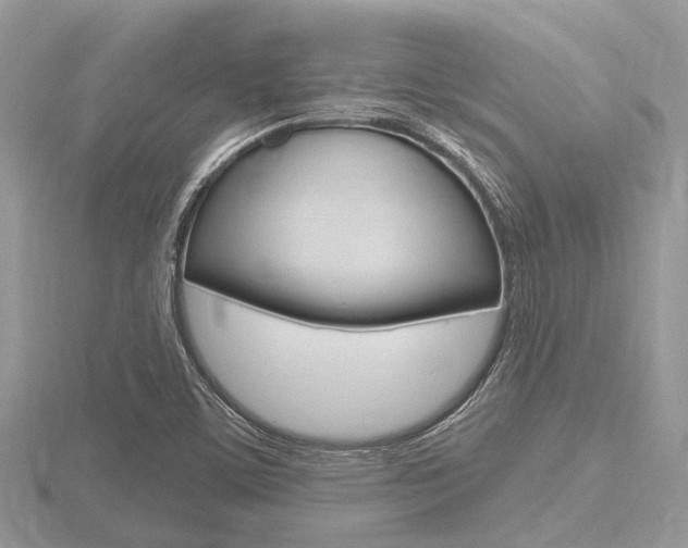 X0000116611459200912110950