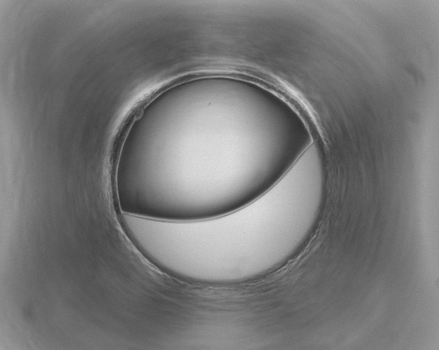X0000116611464200912110950
