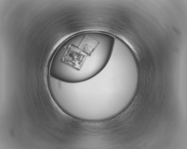 X0000116611468200912110950