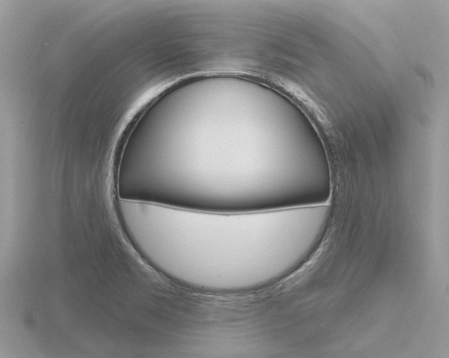 X0000116611469200912110950