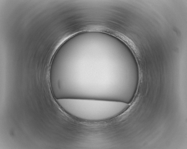 X0000116611473200912110950