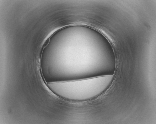 X0000116611476200912110950