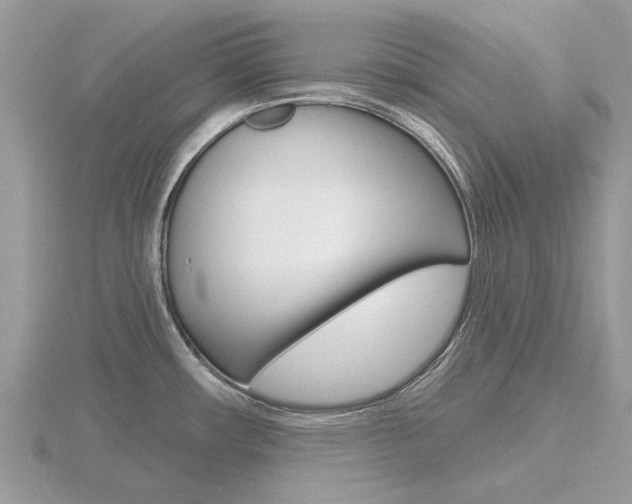 X0000116611482200912110950