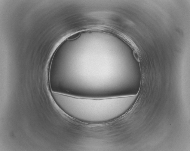 X0000116611483200912110950