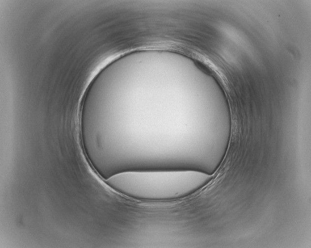 X0000116611487200912110950