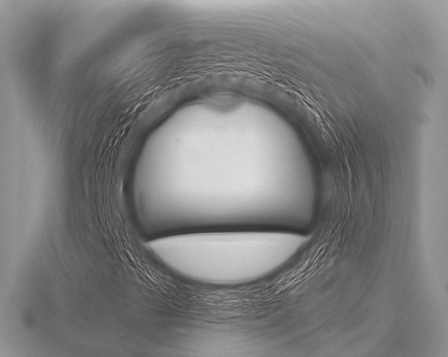 X0000116611489200912110949