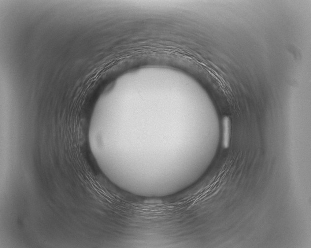 X0000116611491200912110949