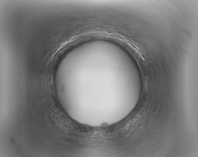 X0000116611494200912110949