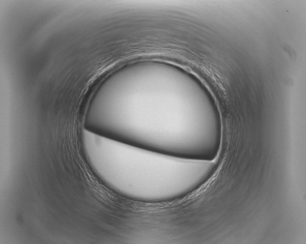 X0000116611497200912110950