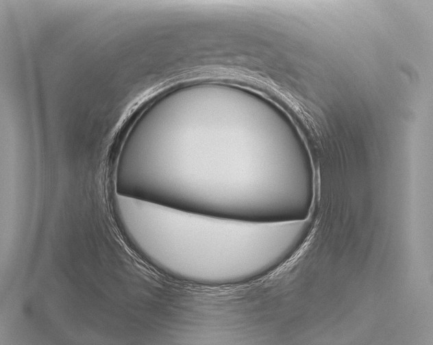 X0000116611501200912110950