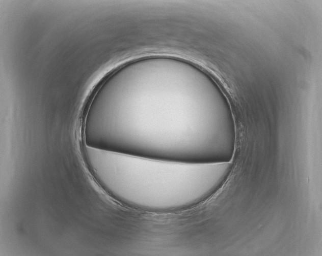 X0000116611511200912110950