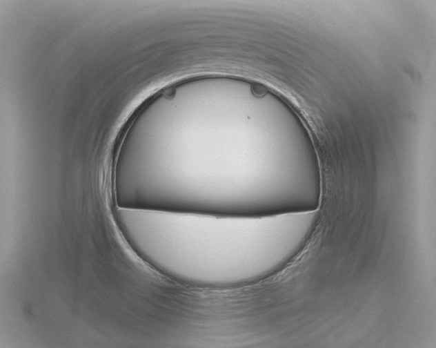 X0000116611515200912110950