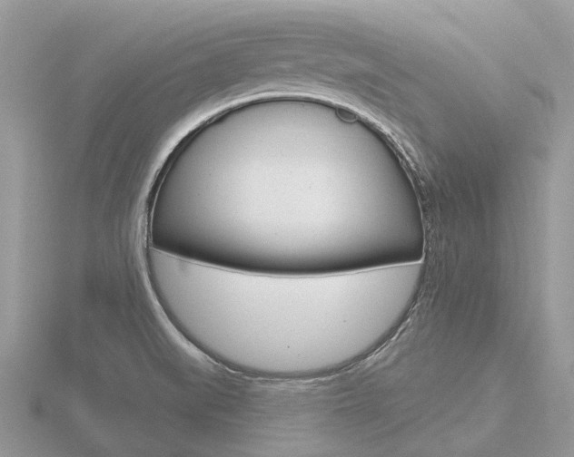 X0000116611519200912110950