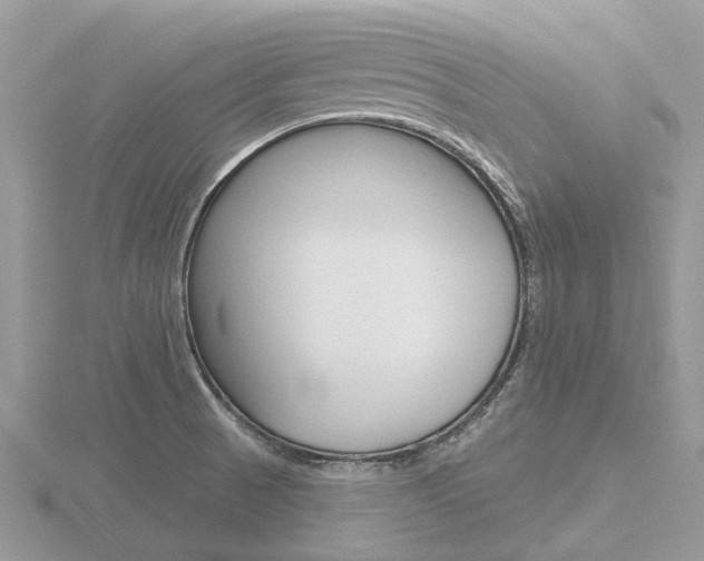 X0000116611521200912110950