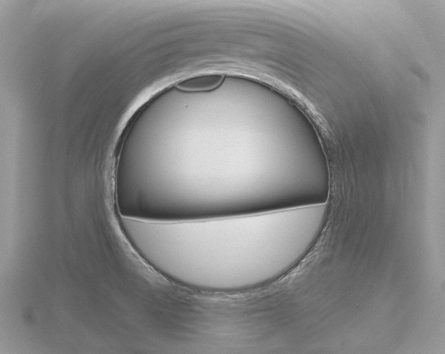 X0000116611522200912110950