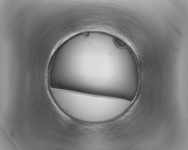 X0000116611525200912110950