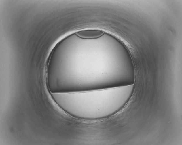 X0000116611526200912110950